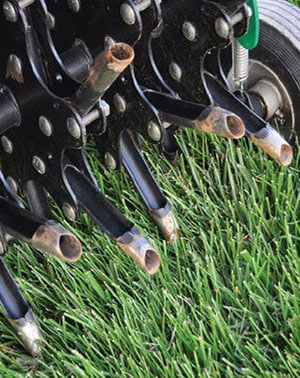 Aeration equipment photo