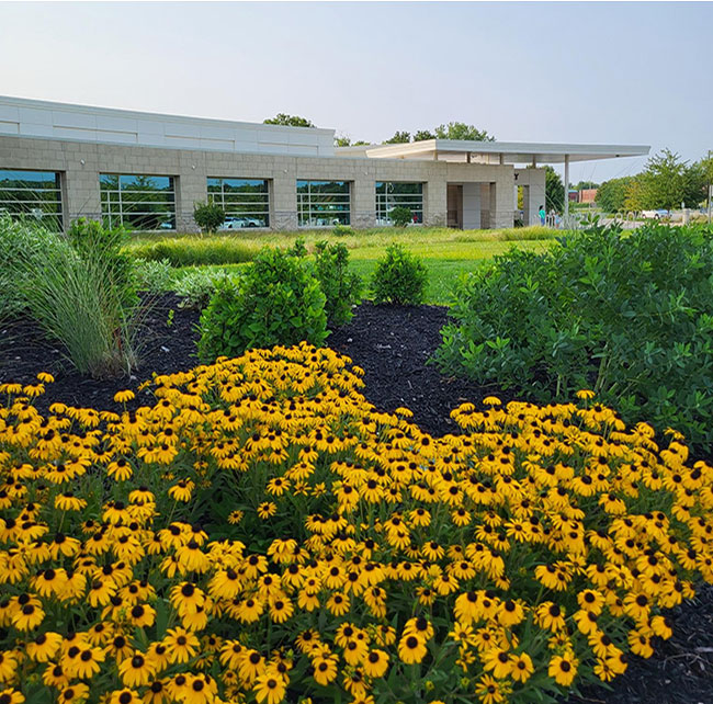 Woodneath Library landscaping photo